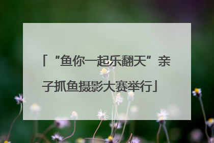 “鱼你一起乐翻天”亲子抓鱼摄影大赛举行