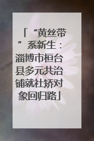 “黄丝带”系新生：淄博市桓台县多元共治铺就社矫对象回归路