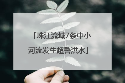珠江流域7条中小河流发生超警洪水