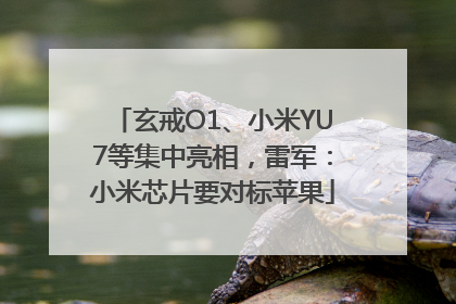 玄戒O1、小米YU7等集中亮相，雷军：小米芯片要对标苹果
