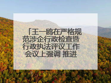 王一鸥在严格规范涉企行政检查暨行政执法评议工作会议上强调 推进涉企行政检查质效大幅提升