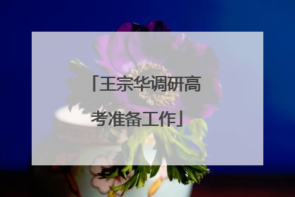 王宗华调研高考准备工作