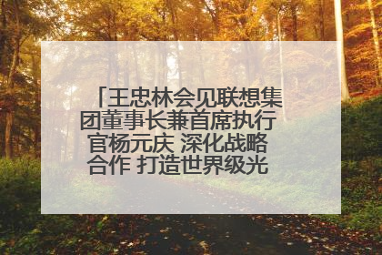 王忠林会见联想集团董事长兼首席执行官杨元庆 深化战略合作 打造世界级光电子信息产业集群
