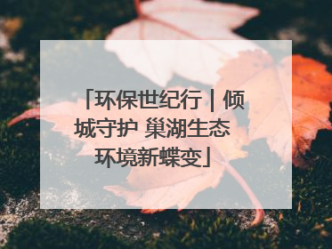 环保世纪行｜倾城守护 巢湖生态环境新蝶变