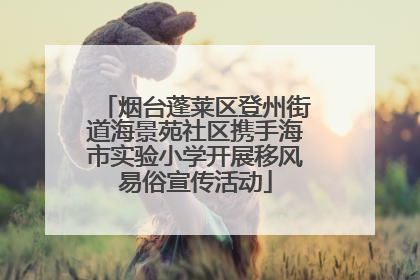 烟台蓬莱区登州街道海景苑社区携手海市实验小学开展移风易俗宣传活动