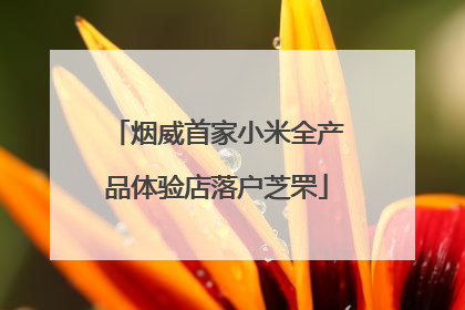 烟威首家小米全产品体验店落户芝罘