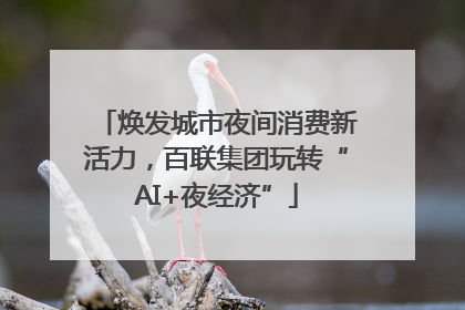 焕发城市夜间消费新活力，百联集团玩转“AI+夜经济”