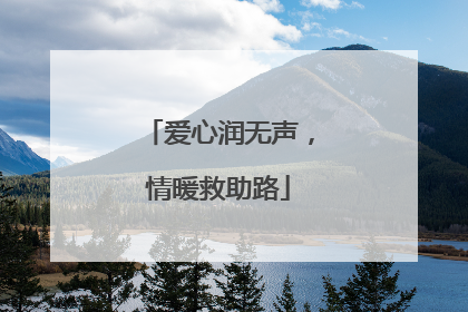 爱心润无声，情暖救助路