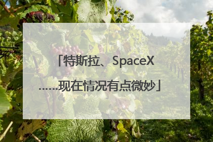 特斯拉、SpaceX……现在情况有点微妙