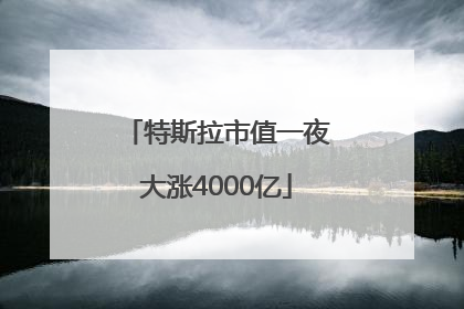 特斯拉市值一夜大涨4000亿
