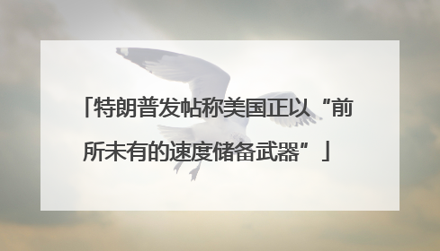 特朗普发帖称美国正以“前所未有的速度储备武器”
