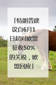 特朗普建议自6月1日起对欧盟征收50%的关税，欧盟回应