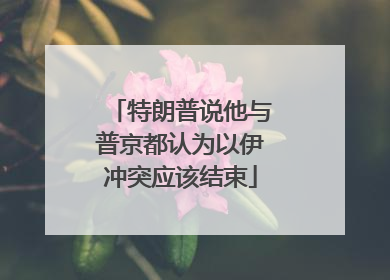 特朗普说他与普京都认为以伊冲突应该结束