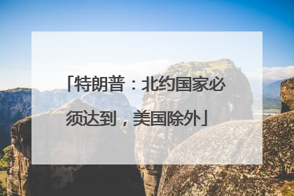 特朗普：北约国家必须达到，美国除外