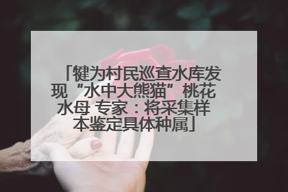 犍为村民巡查水库发现“水中大熊猫”桃花水母 专家：将采集样本鉴定具体种属