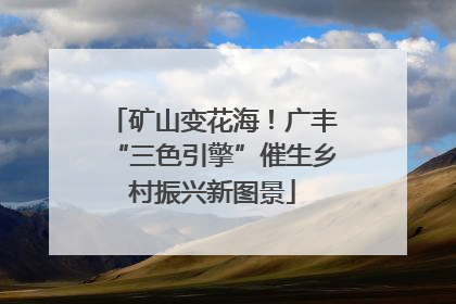 矿山变花海！广丰“三色引擎”催生乡村振兴新图景