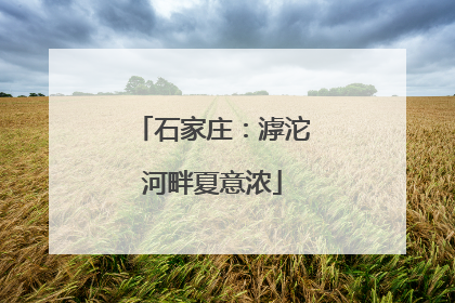 石家庄：滹沱河畔夏意浓