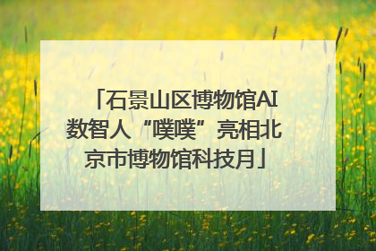 石景山区博物馆AI数智人“噗噗”亮相北京市博物馆科技月