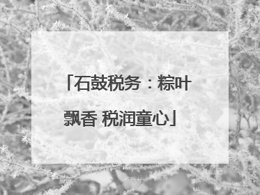 石鼓税务：粽叶飘香 税润童心