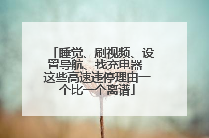 睡觉、刷视频、设置导航、找充电器 这些高速违停理由一个比一个离谱