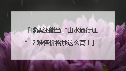 球票还能当“山水通行证”？难怪价格炒这么高！