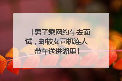 男子乘网约车去面试，却被女司机连人带车送进湖里
