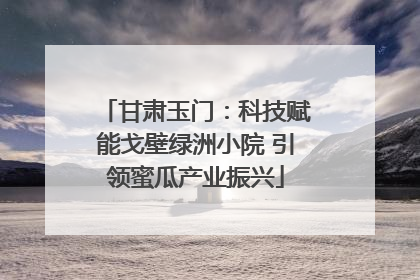 甘肃玉门：科技赋能戈壁绿洲小院 引领蜜瓜产业振兴