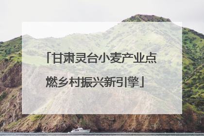 甘肃灵台小麦产业点燃乡村振兴新引擎