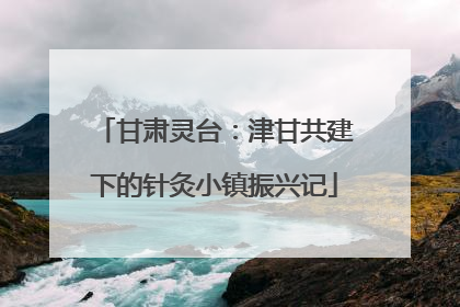 甘肃灵台：津甘共建下的针灸小镇振兴记