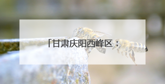 甘肃庆阳西峰区：赏花+采摘 解锁乡村旅游新体验