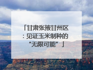 甘肃张掖甘州区：见证玉米制种的“无限可能”