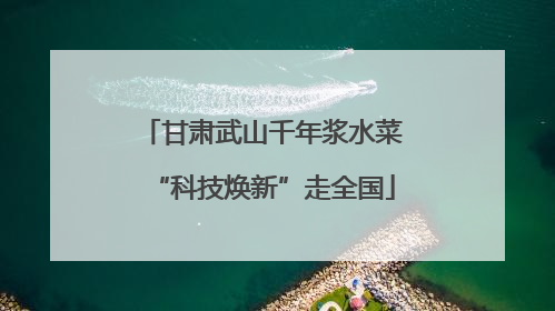 甘肃武山千年浆水菜“科技焕新”走全国