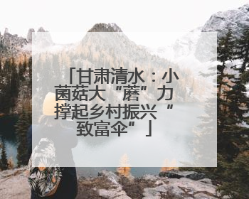 甘肃清水：小菌菇大“蘑”力撑起乡村振兴“致富伞”