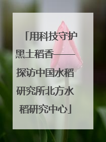 用科技守护黑土稻香——探访中国水稻研究所北方水稻研究中心