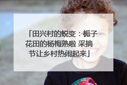 田兴村的蜕变：栀子花田的杨梅熟啦 采摘节让乡村热闹起来
