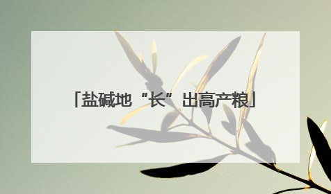 盐碱地“长”出高产粮