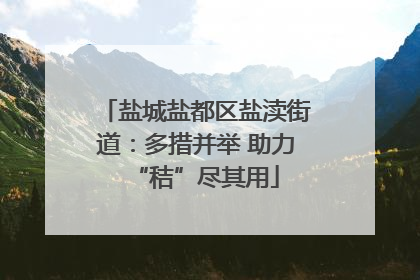盐城盐都区盐渎街道：多措并举 助力“秸”尽其用