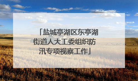 盐城亭湖区东亭湖街道人大工委组织防汛专项视察工作