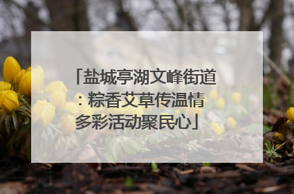 盐城亭湖文峰街道：粽香艾草传温情 多彩活动聚民心
