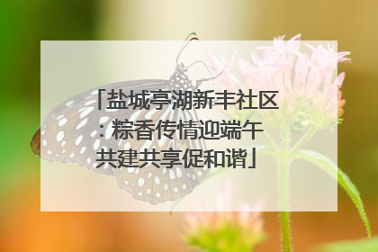 盐城亭湖新丰社区：粽香传情迎端午 共建共享促和谐