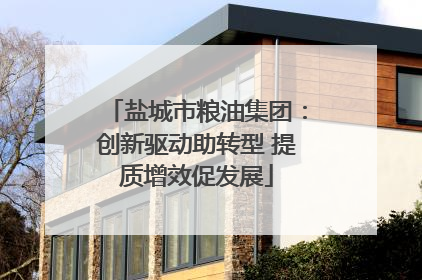 盐城市粮油集团：创新驱动助转型 提质增效促发展