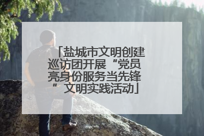 盐城市文明创建巡访团开展“党员亮身份服务当先锋”文明实践活动
