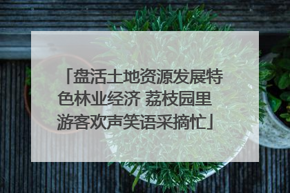 盘活土地资源发展特色林业经济 荔枝园里游客欢声笑语采摘忙