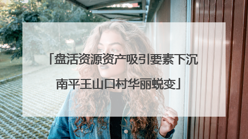 盘活资源资产吸引要素下沉 南平王山口村华丽蜕变