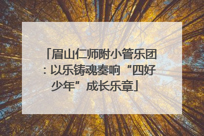 眉山仁师附小管乐团：以乐铸魂奏响“四好少年”成长乐章