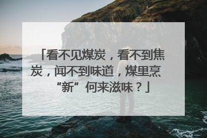 看不见煤炭,看不到焦炭,闻不到味道,煤里烹“新”何来滋味?