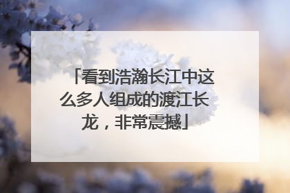 看到浩瀚长江中这么多人组成的渡江长龙，非常震撼