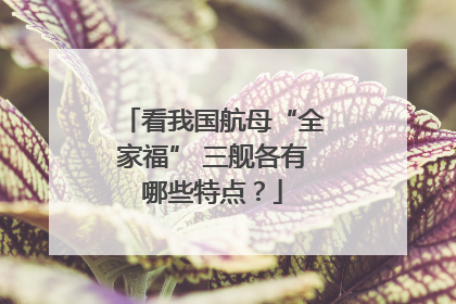 看我国航母“全家福” 三舰各有哪些特点？