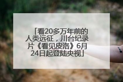看20多万年前的人类远征，川台纪录片《看见皮洛》6月24日起登陆央视