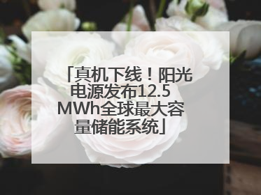 真机下线！阳光电源发布12.5MWh全球最大容量储能系统